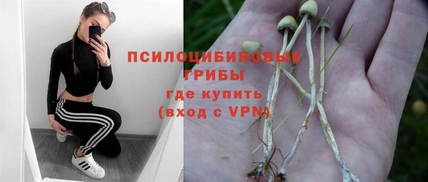 таблы Богородск