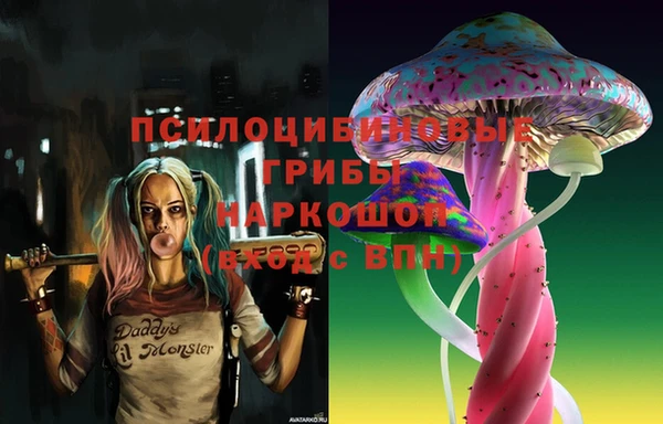 таблы Богородск